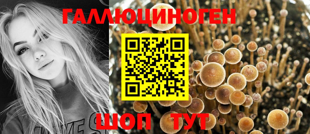 Ставрополь  Галлюциногенные грибы мицелий  Вход с VPN 