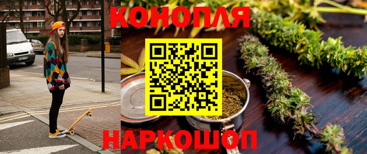 Бошки Шишки ГИДРОПОН Ставрополь